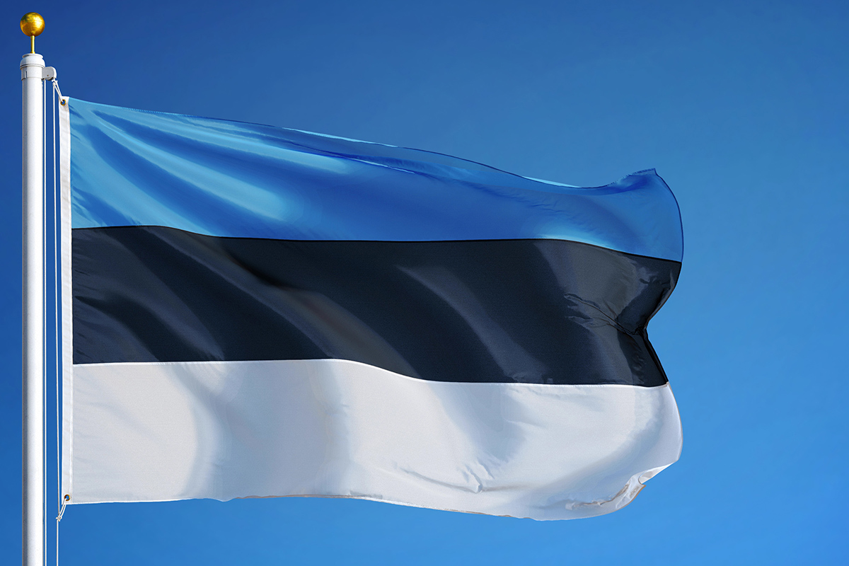 Die Flagge von Estland im Wind wehend.
