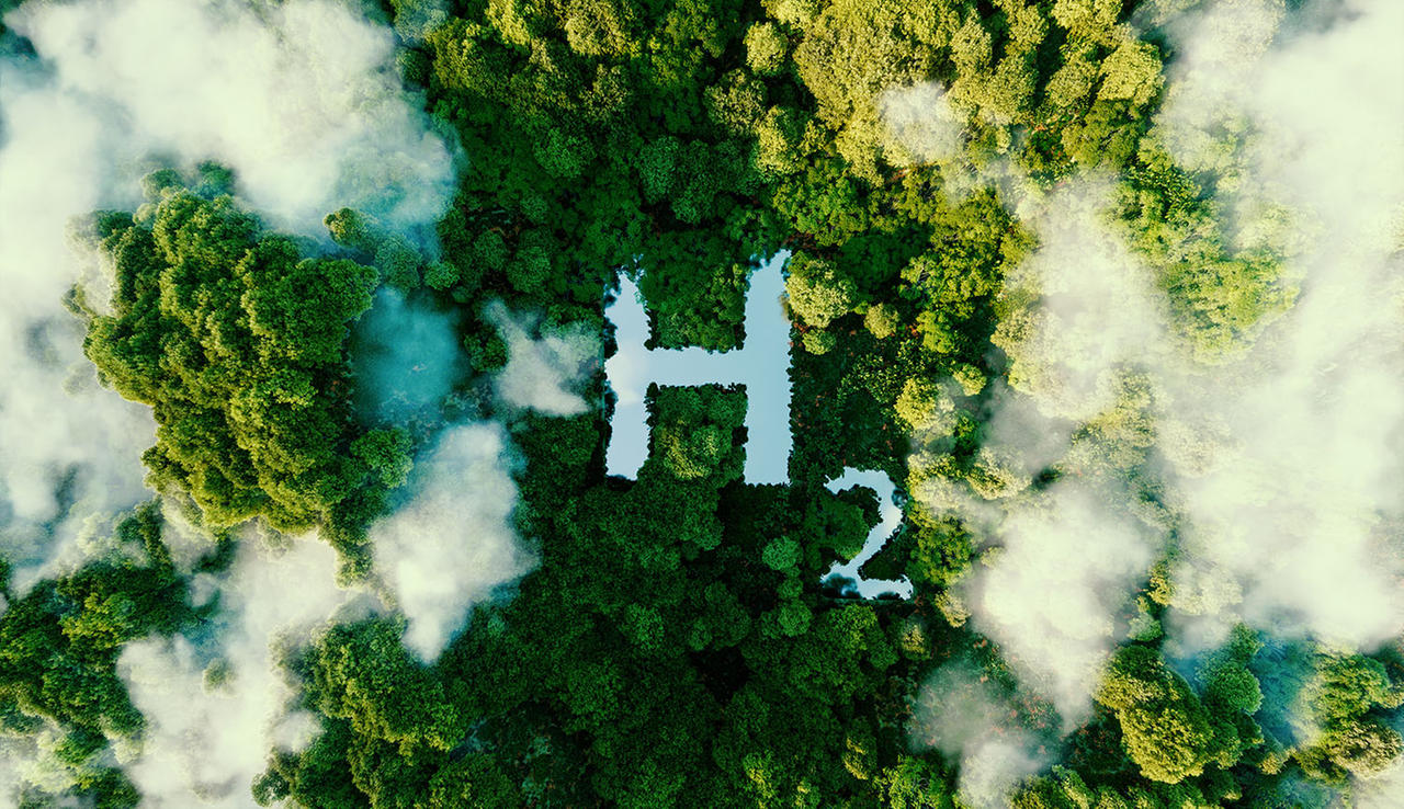 Das Symbolbild zeigt die chemische Bezeichnung H2 in einem Wald.